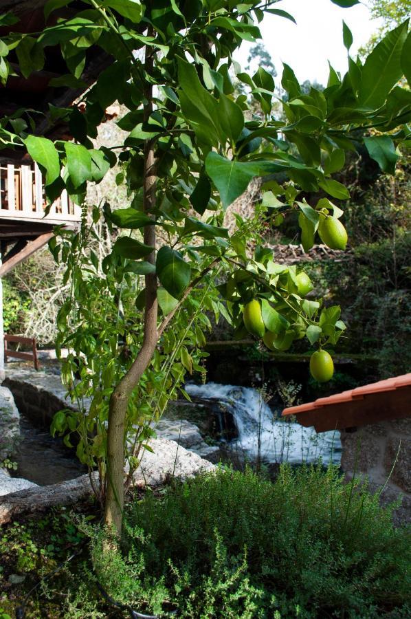 Quinta Das Bollotas Villa Fafe Kültér fotó