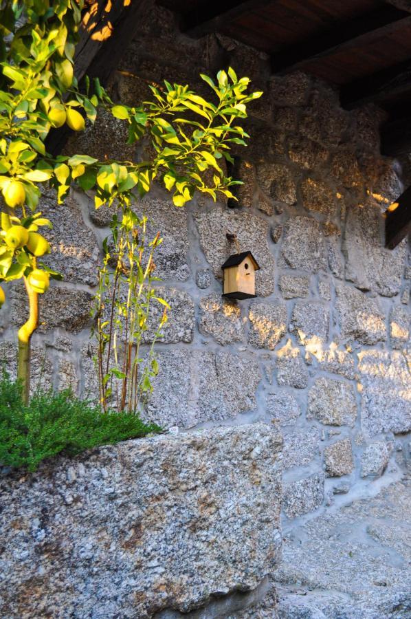 Quinta Das Bollotas Villa Fafe Kültér fotó