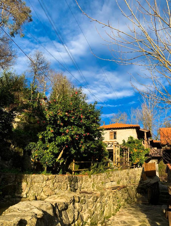 Quinta Das Bollotas Villa Fafe Kültér fotó